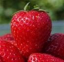 Tips To Remove Strawberry Stain
